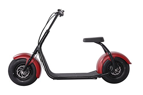 SEEV-800 Electric Lifestyle Fat Tire Scooter 800w Hub Motor E-Bike Bicycle